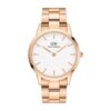 Montre DANIEL WELLINGTON Evergold DW00100343