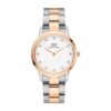 Montre DANIEL WELLINGTON Iconic Link Lumine DW00100358