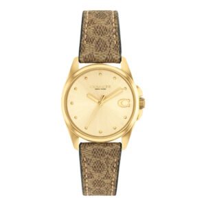 Montre COACH Greyson 14504107