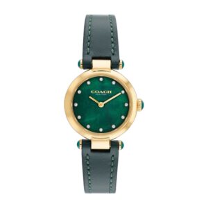 Montre COACH Cary 14503951