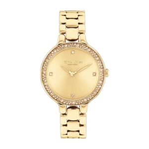 Montre COACH Chelsea14504125
