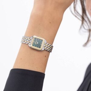 Montre Boss 1502822