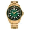 Montre Citizen BN0262-59W