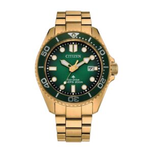 Montre Citizen BN0262-59W