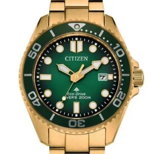 Montre Citizen BN0262-59W