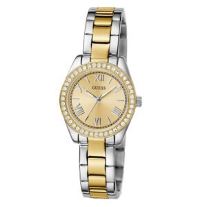 Montre Guess GW0841L2 Montre Guess GW0841L2