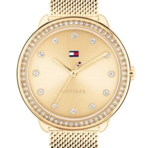 Montre Tommy Hilfiger 1782699 Montre Tommy Hilfiger 1782699