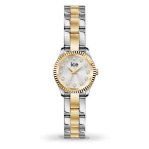 Montre Ice Watch 025537