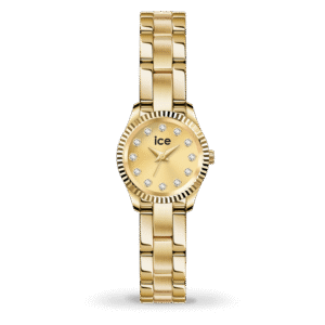 Montre Ice Watch 025539