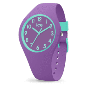 Montre Ice Watch 014432
