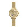Montre Pierre Lannier 139L542