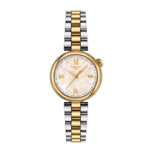 Montre TISSOT Désir T1520102211801