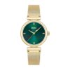 Montre Boss Rosehill 1502855