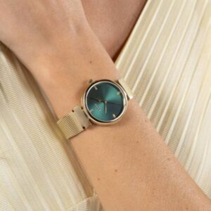 Montre Boss Rosehill 1502855 Montre Boss Rosehill 1502855