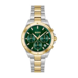 Montre Boss Alley 1502827