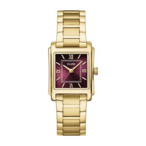 Montre CLUSE Anglée CW16603