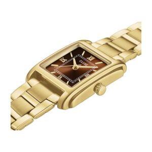 Montre CLUSE Anglée CW16604