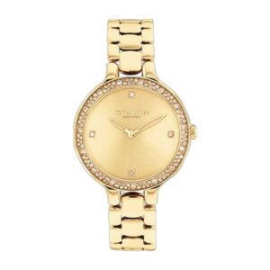 Montre COACH Chelsea 14504251
