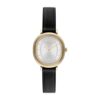 Montre COACH Harlow 14504726