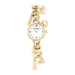 Montre COACH Iris 14504648