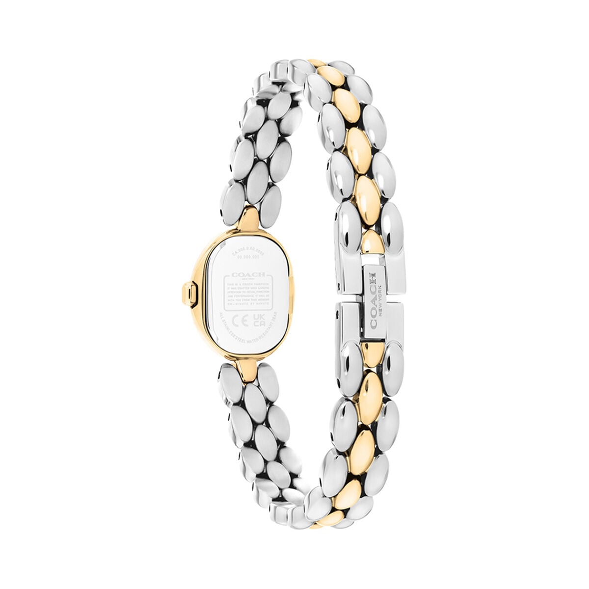 Montre COACH Sammy 14504738 2 Montre COACH Sammy 14504738