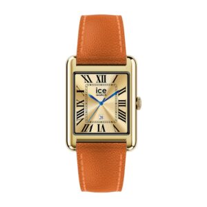 Montre ICE WATCH ICE smart TKS 2.0 rectangulaire 1.41 Gold Orange 025620