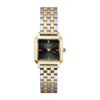Montre ROSEFIELD Boxelle BBDSG-B07