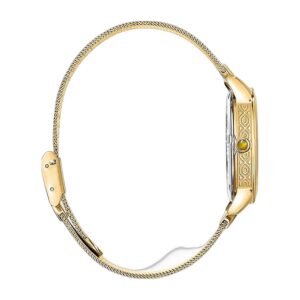 Montre THOMAS SABO Garden Spirit Œil de tigre WA0364-264-205