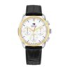 Montre TOMMY HILFIGER 1710809